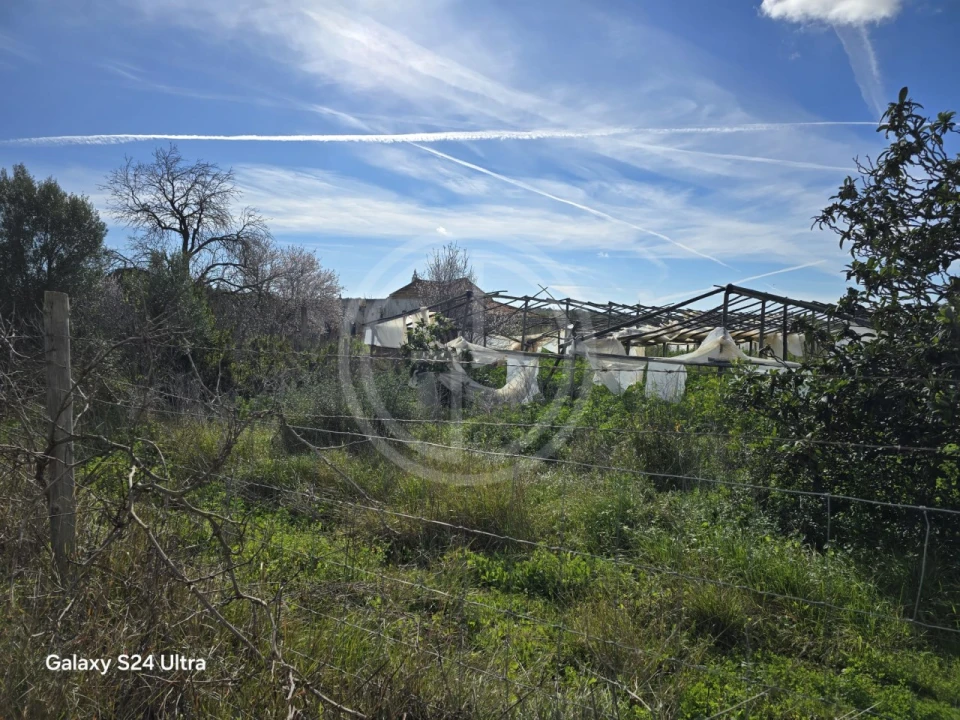 Terreno para Venda em Conceição e Estoi Foto 1