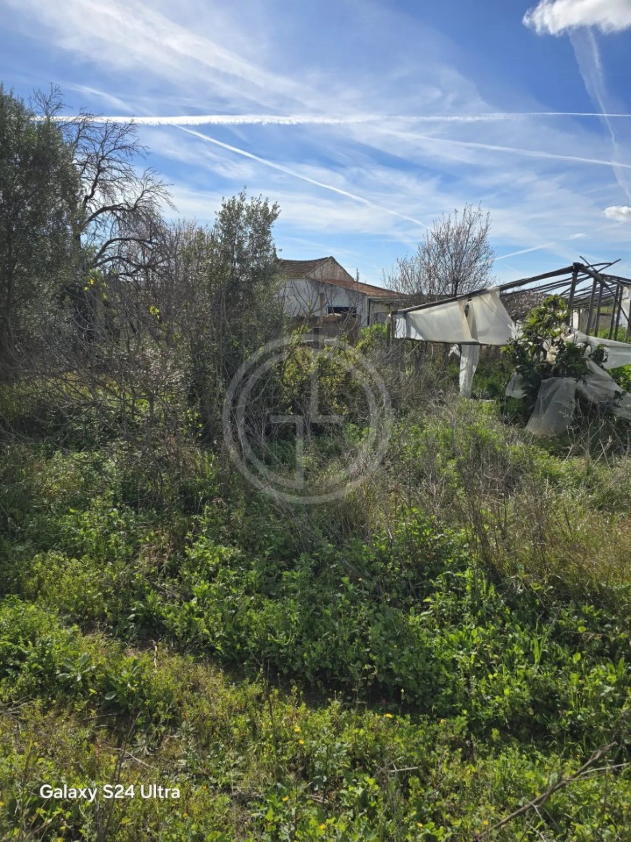 Terreno para Venda em Conceição e Estoi Foto 2