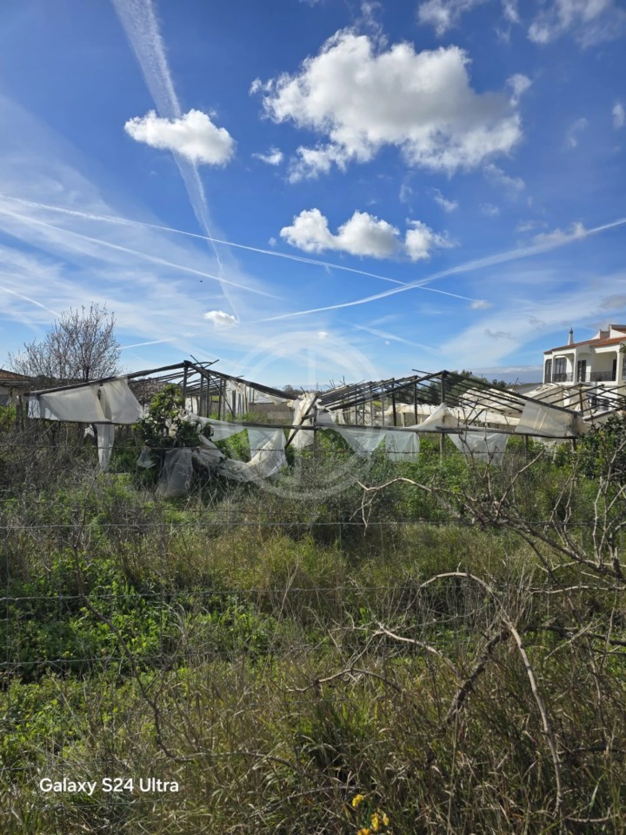 Terreno para Venda em Conceição e Estoi Foto 4