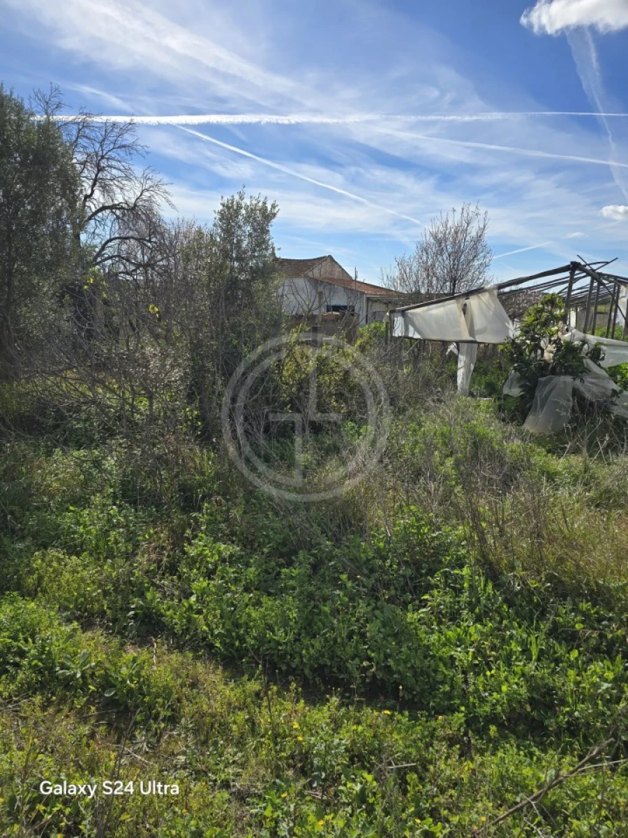 Terreno para Venda em Conceição e Estoi Foto 2