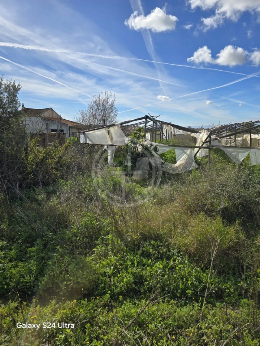 Terreno para Venda em Conceição e Estoi Foto 3