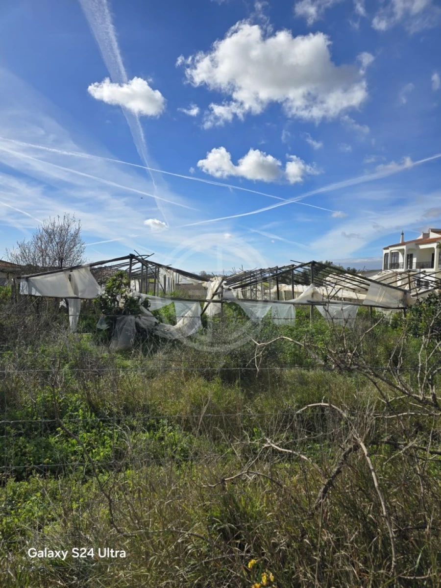 Terreno para Venda em Conceição e Estoi Foto 4