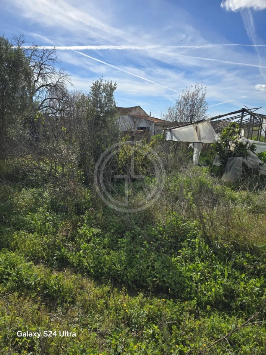 Terreno para Venda em Conceição e Estoi Foto 5