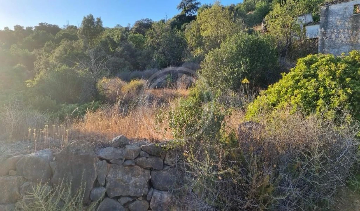 Terreno para Venda em Conceição e Estoi Foto 4