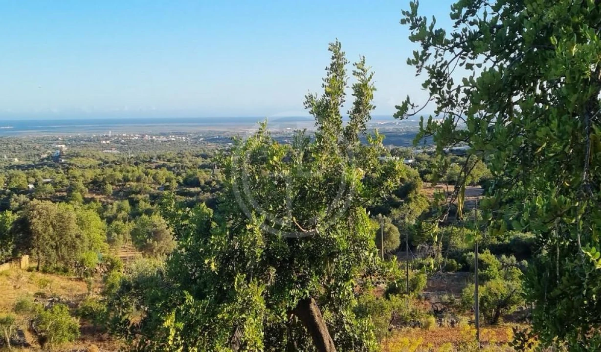 Terreno para Venda em Conceição e Estoi Foto 5