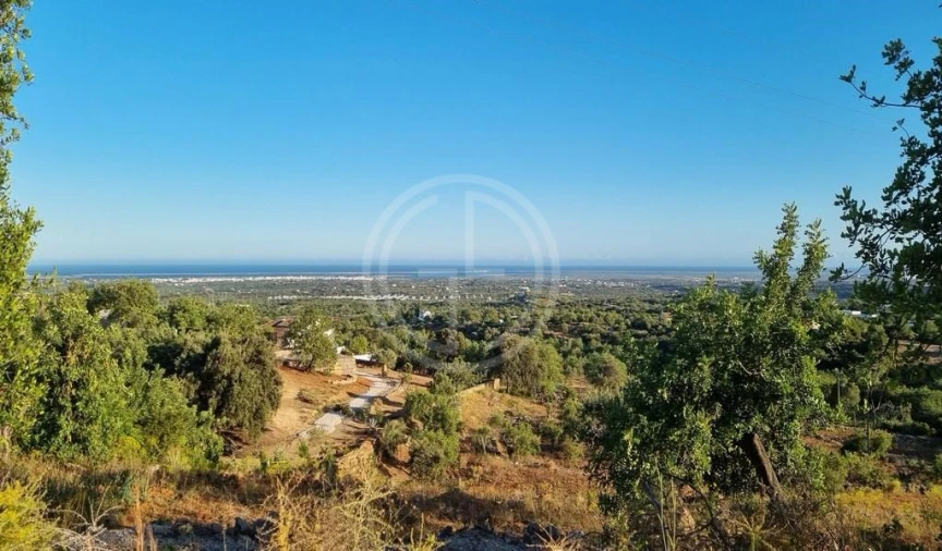Terreno para Venda em Conceição e Estoi Foto 1