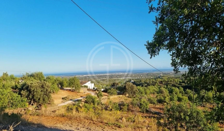Terreno para Venda em Conceição e Estoi Foto 2