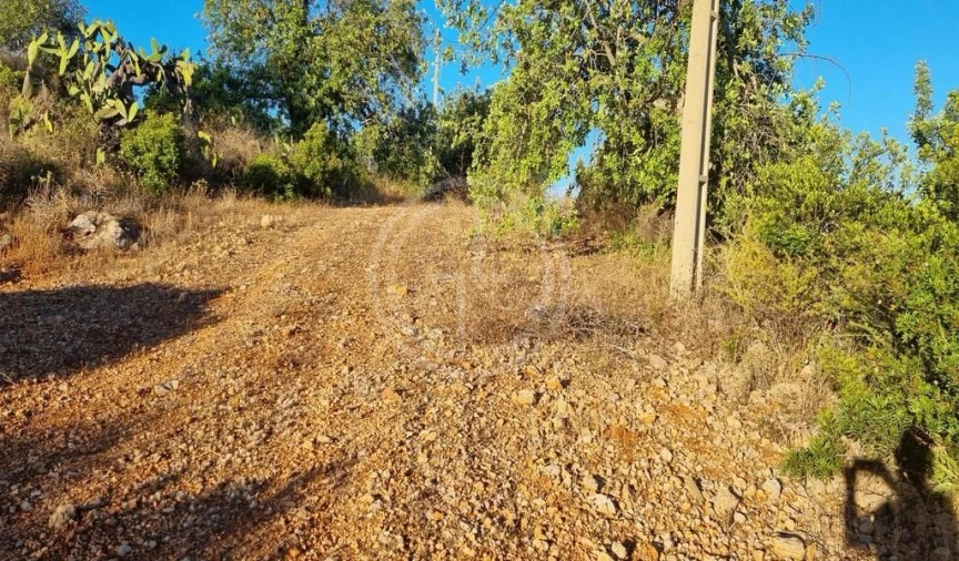 Terreno para Venda em Conceição e Estoi Foto 6