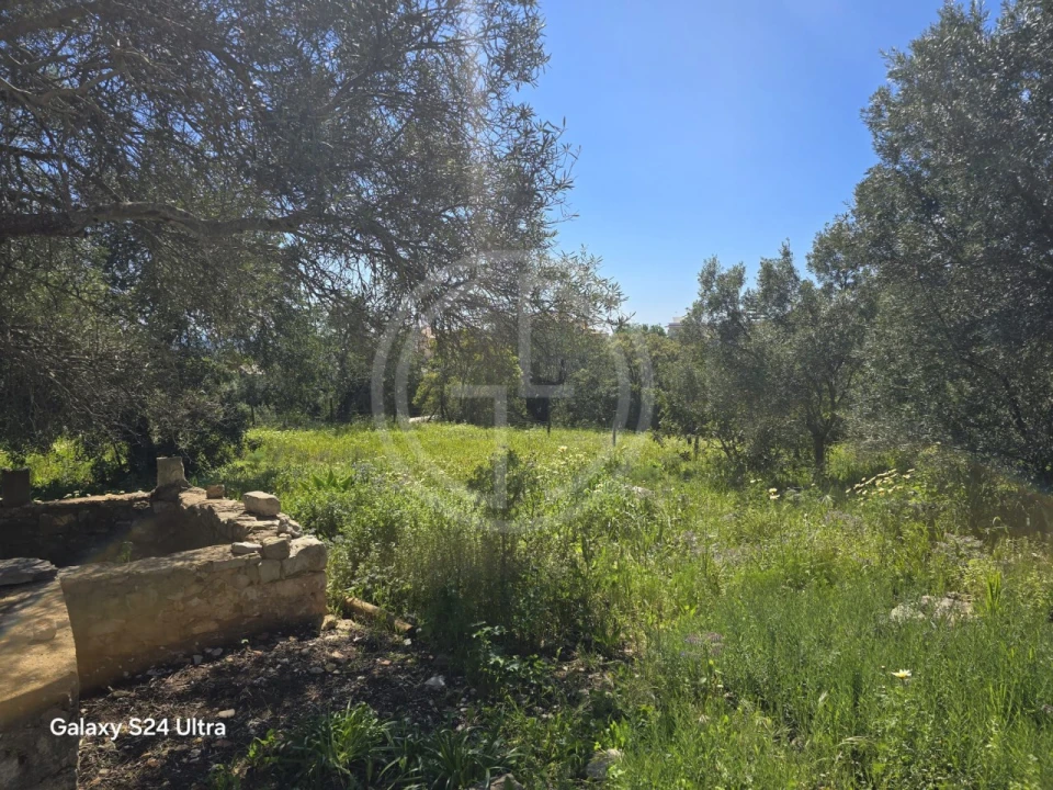 Terreno para Venda em Santa Barbara de Nexe Foto 5