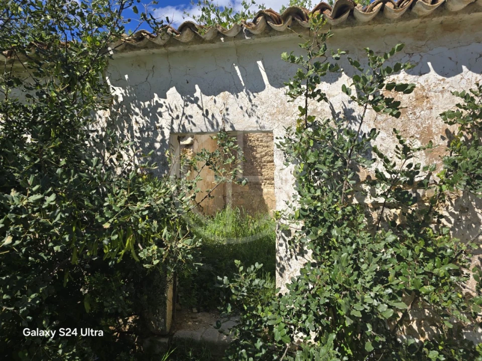 Terreno para Venda em Santa Barbara de Nexe Foto 6