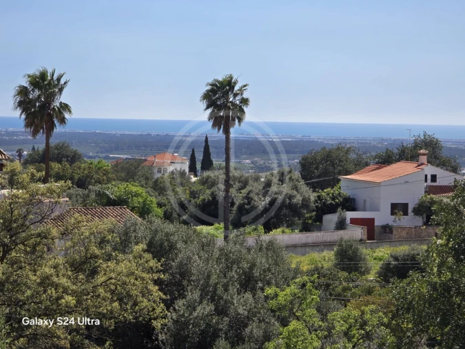 Terreno para Venda em Santa Barbara de Nexe