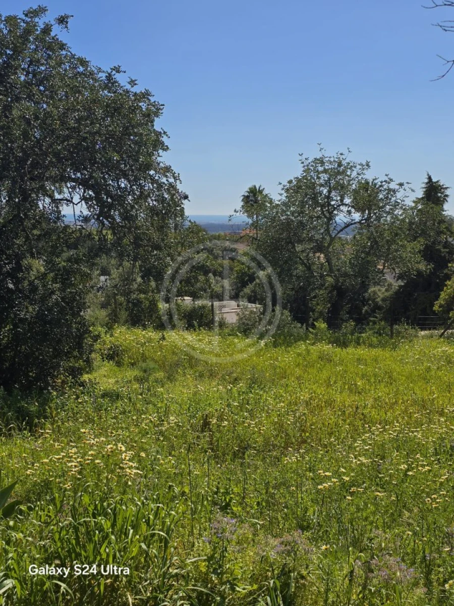 Terreno para Venda em Santa Barbara de Nexe Foto 9