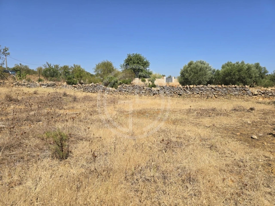Terreno para Venda em Santa Barbara de Nexe Foto 1