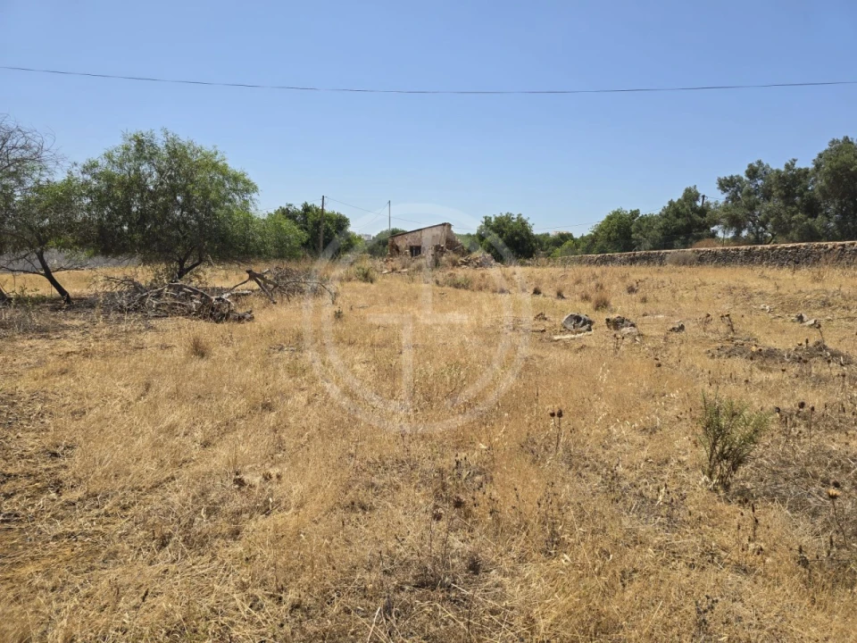 Terreno para Venda em Santa Barbara de Nexe Foto 3
