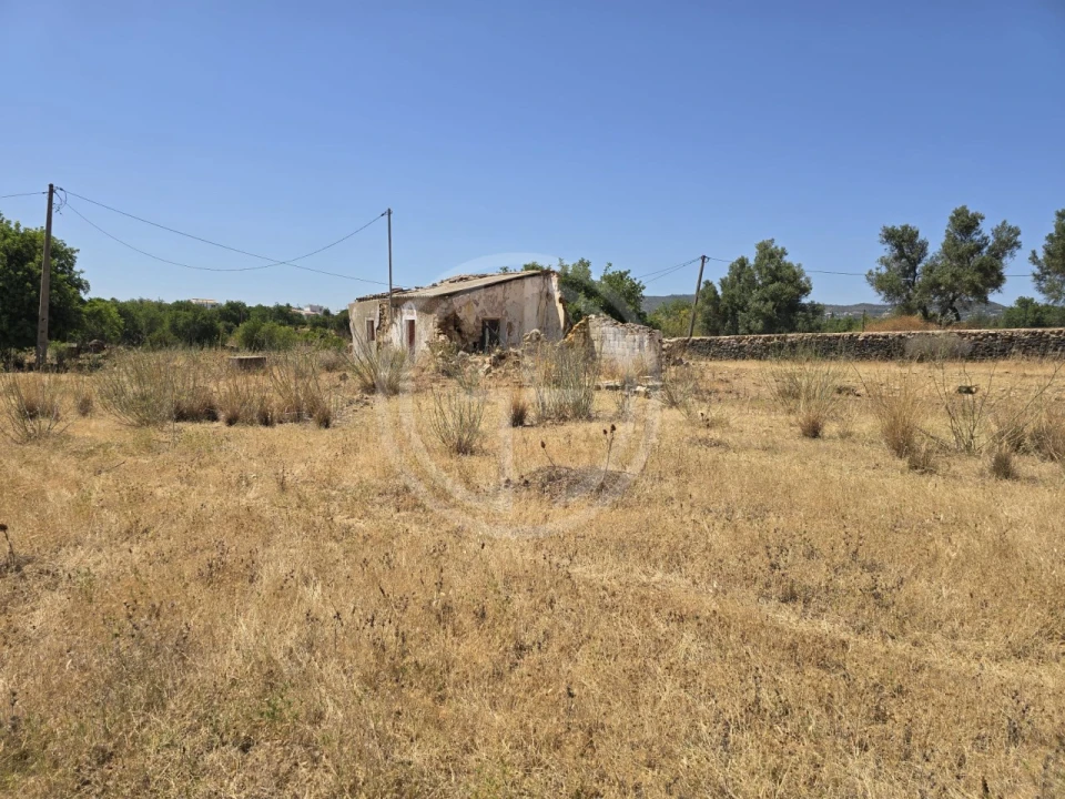Terreno para Venda em Santa Barbara de Nexe Foto 5