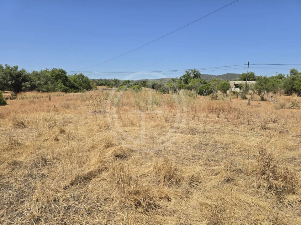 Terreno para Venda em Santa Barbara de Nexe Foto 6