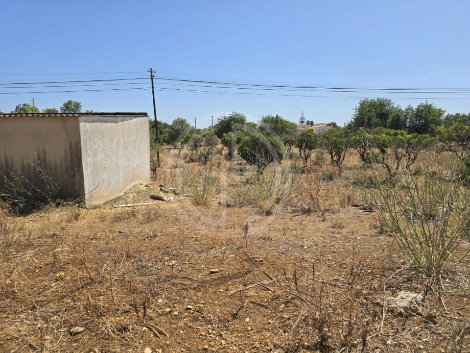Terreno para Venda em Santa Barbara de Nexe Foto 7