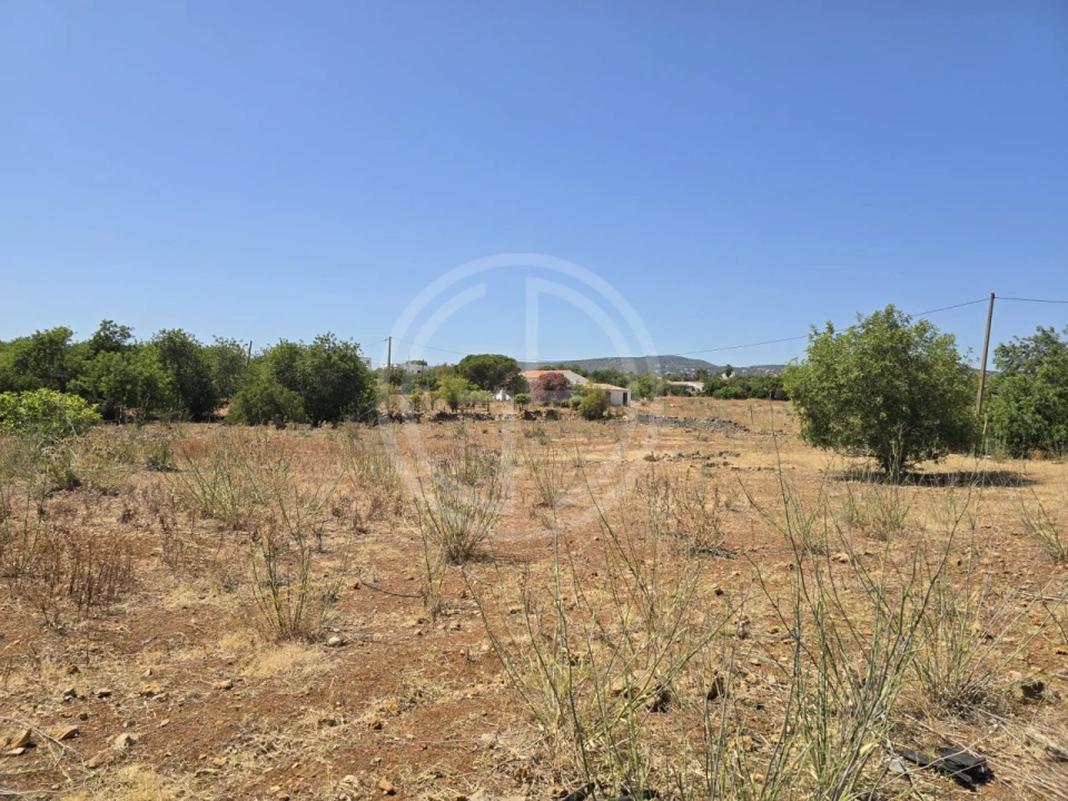 Terreno para Venda em Santa Barbara de Nexe Foto 8