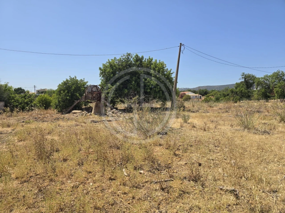 Terreno para Venda em Santa Barbara de Nexe Foto 9