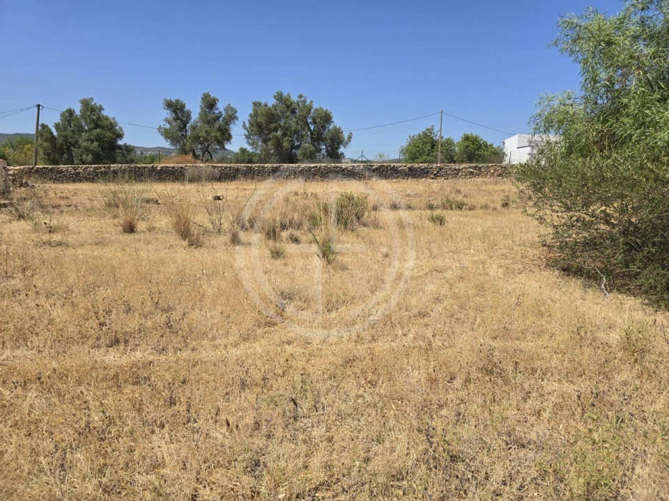 Terreno para Venda em Santa Barbara de Nexe Foto 10