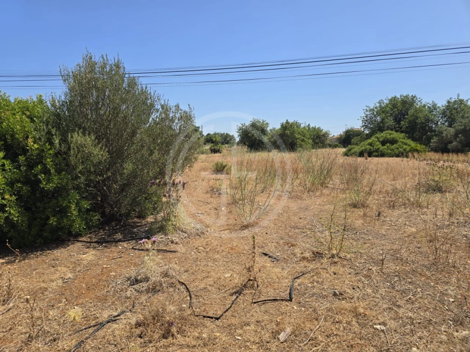 Terreno para Venda em Santa Barbara de Nexe Foto 12