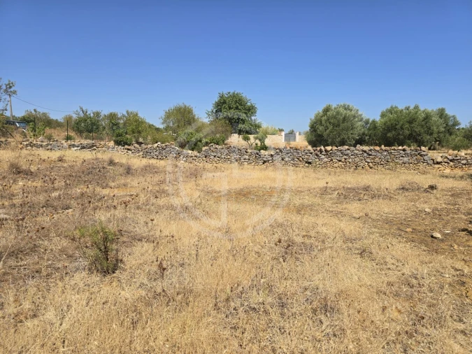 Terreno para Venda em Santa Barbara de Nexe