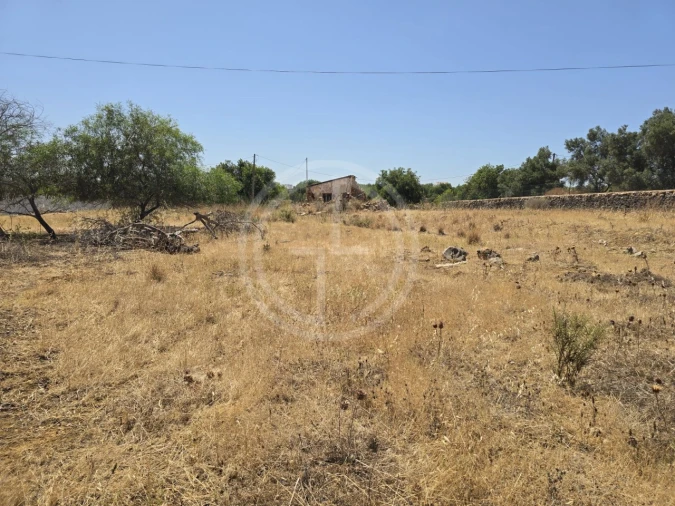Terreno para Venda em Santa Barbara de Nexe Foto 3