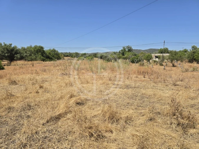 Terreno para Venda em Santa Barbara de Nexe Foto 6
