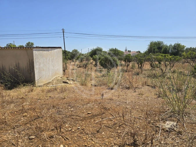 Terreno para Venda em Santa Barbara de Nexe Foto 7