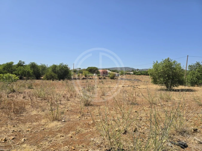 Terreno para Venda em Santa Barbara de Nexe Foto 8