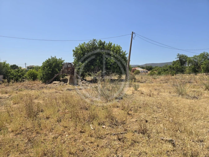 Terreno para Venda em Santa Barbara de Nexe Foto 9