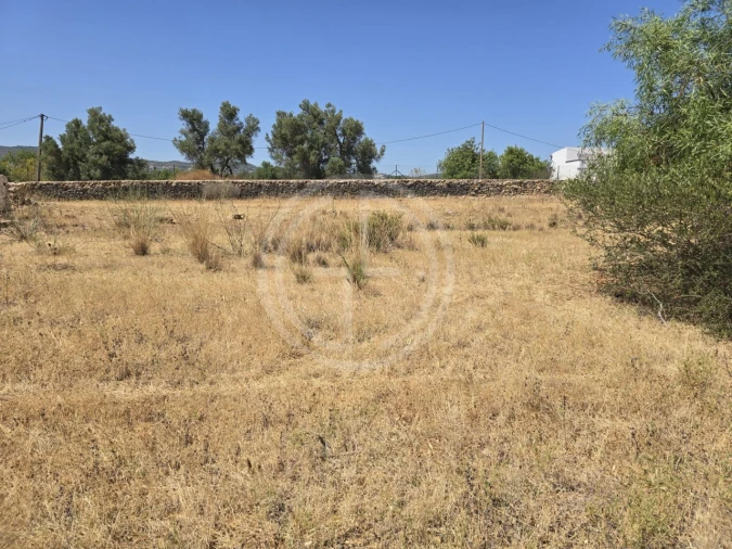 Terreno para Venda em Santa Barbara de Nexe Foto 10