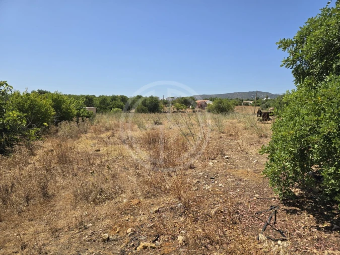 Terreno para Venda em Santa Barbara de Nexe Foto 11