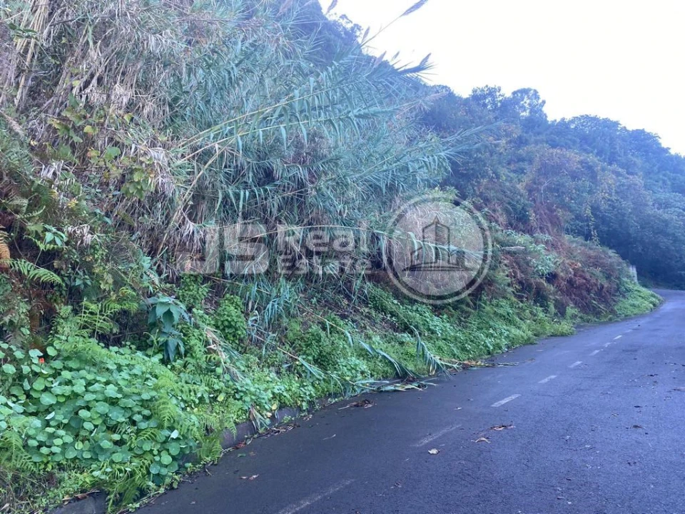 Terreno para Venda em Santana Foto 2