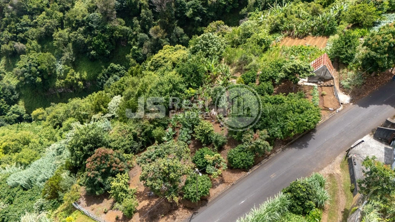 Terreno para Venda em Santana Foto 4
