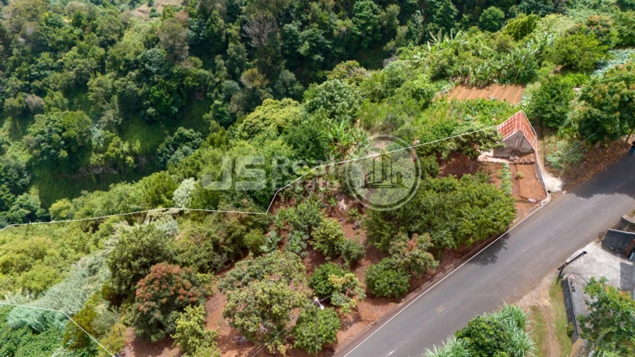 Terreno para Venda em Santana Foto 19