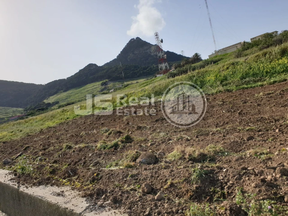 Terreno para Venda em Porto Santo Foto 2
