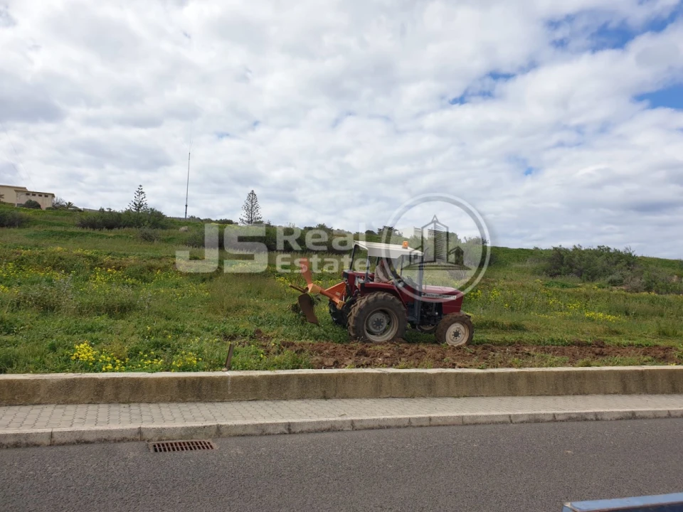 Terreno para Venda em Porto Santo Foto 6