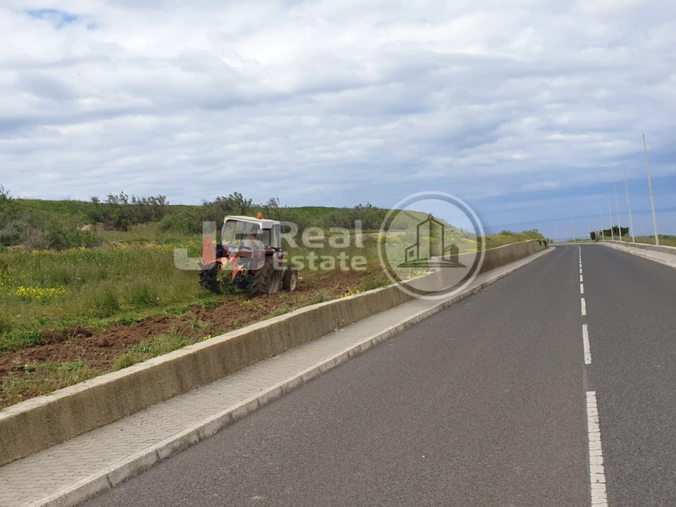Terreno para Venda em Porto Santo Foto 7