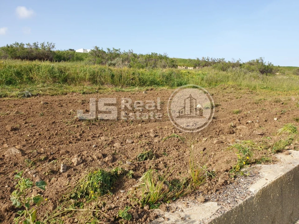 Terreno para Venda em Porto Santo Foto 18