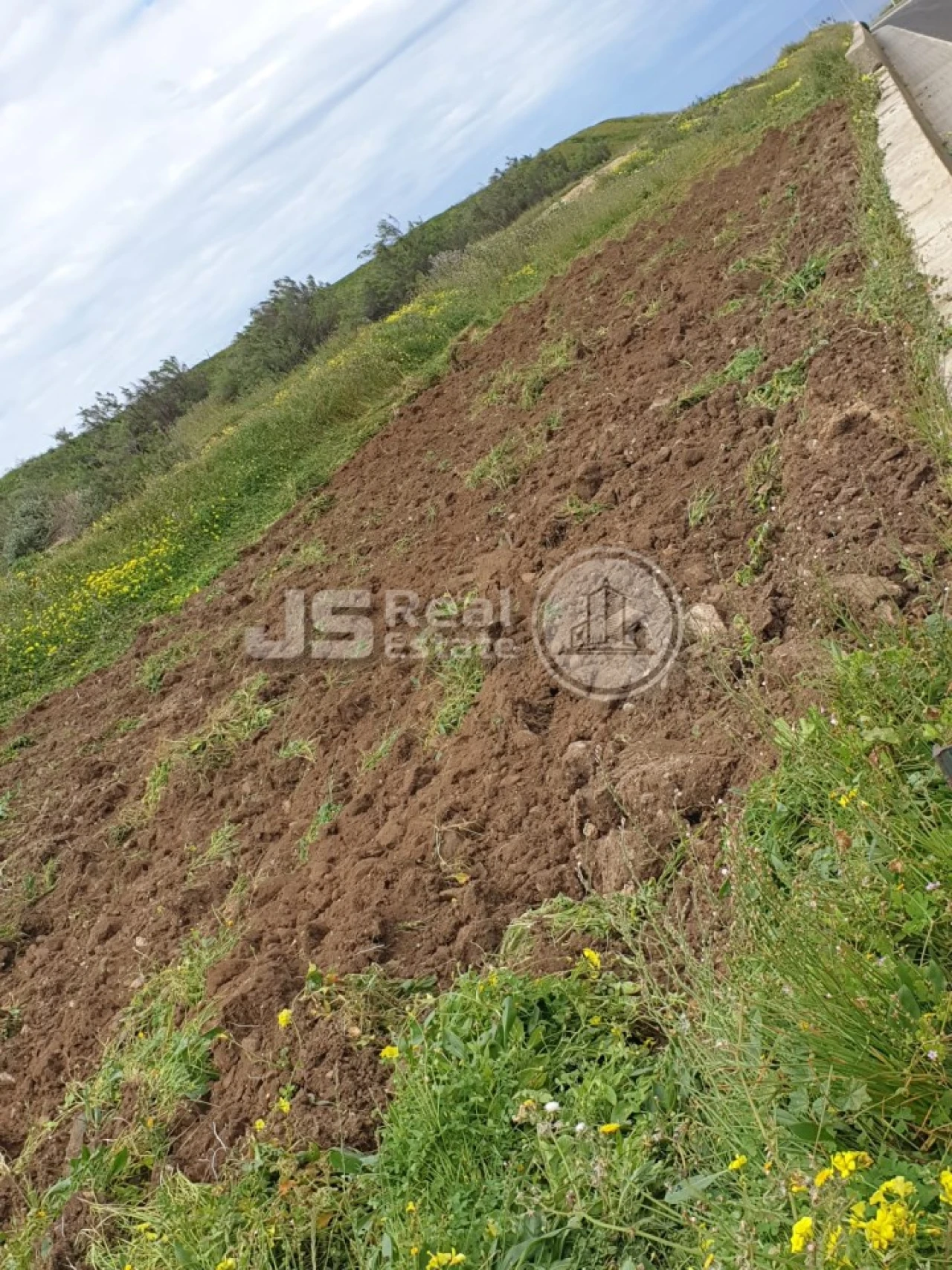 Terreno para Venda em Porto Santo Foto 19