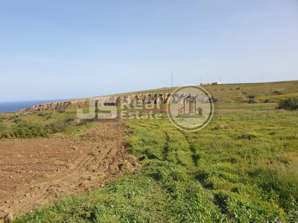Terreno para Venda em Porto Santo Foto 20