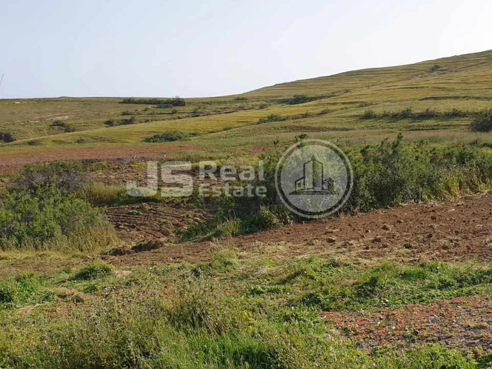 Terreno para Venda em Porto Santo Foto 21