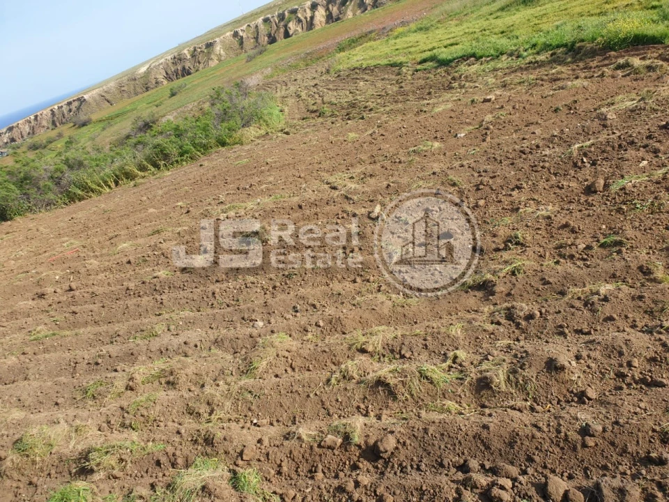 Terreno para Venda em Porto Santo Foto 24