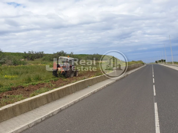 Terreno para Venda em Porto Santo Foto 7