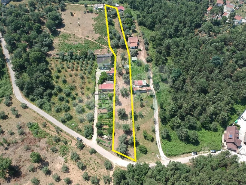 Terreno para Venda em Eiras e São Paulo de Frades Foto 4