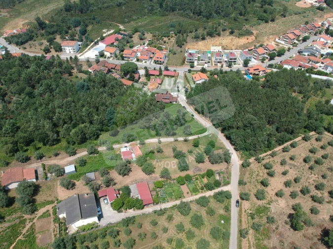 Terreno para Venda em Eiras e São Paulo de Frades Foto 1