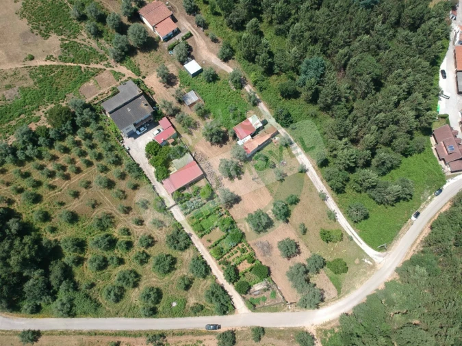 Terreno para Venda em Eiras e São Paulo de Frades Foto 2