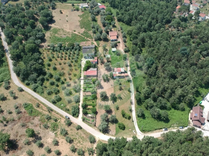 Terreno para Venda em Eiras e São Paulo de Frades Foto 3