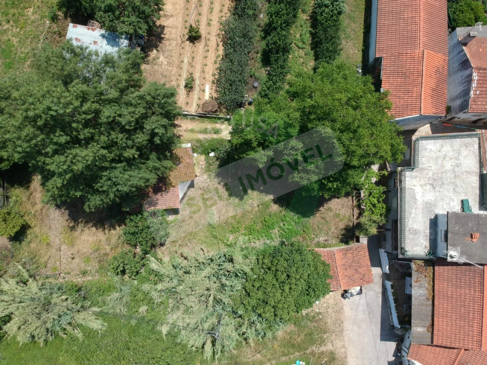 Terreno para Venda em Eiras e São Paulo de Frades Foto 1